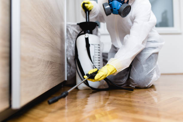 Best Emergency Pest Control  in Carbondale, IL