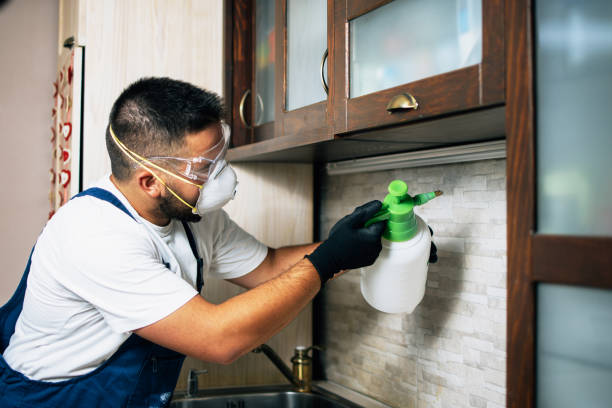 Best Wildlife Control Services  in Carbondale, IL