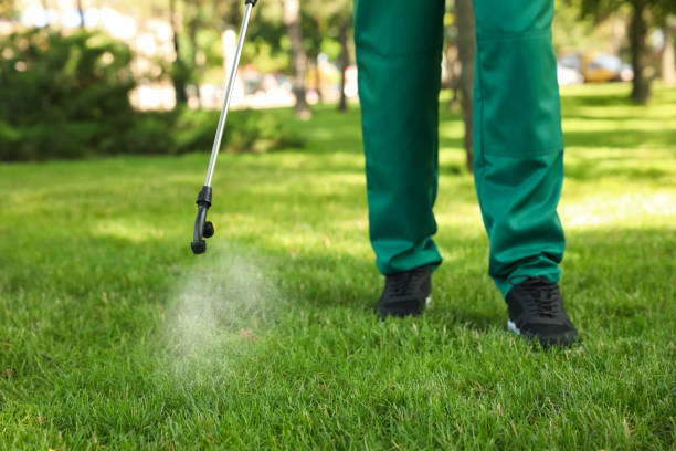 Best Exterminator Services  in Carbondale, IL
