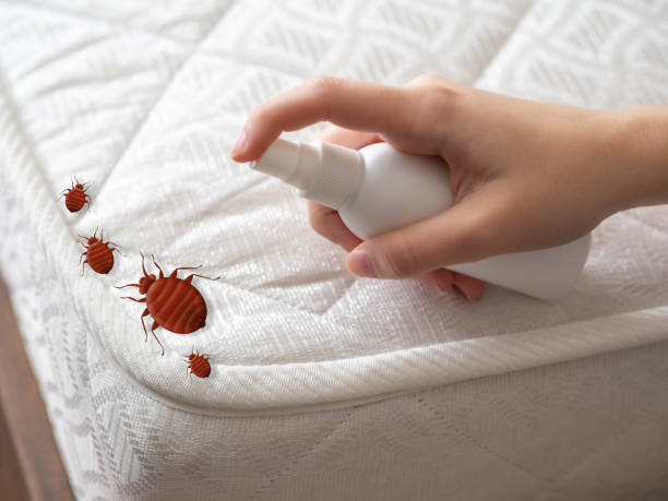 Best Best Pest Control Companies  in Carbondale, IL